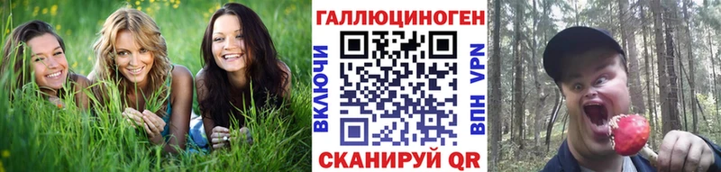 магазин продажи   Таруса  Галлюциногенные грибы ЛСД 